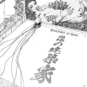 Image of Architect of Decay by These Machines Are Winning CD Album