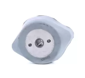 Image of RIDEX Mounting, manual transmission 249M0171 VW,AUDI,SKODA,PASSAT Variant (3B6),PASSAT Variant (3B5),PASSAT (3B3),PASSAT (3B2),A6 Avant (4B5, C5)