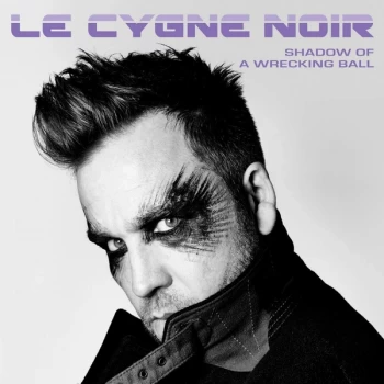 Image of Le Cygne Noir - Shadow Of A Wrecking Ball Vinyl