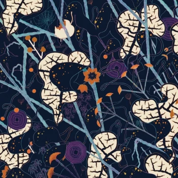 Image of Lyla Foy - Mirrors The Sky Vinyl