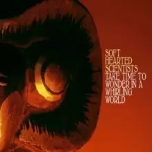 Image of Take Time to Wonder in a Whirling World