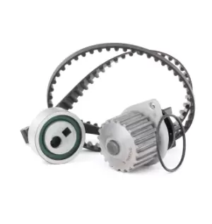 Image of INA Water Pump + Timing Belt Kit PEUGEOT,CITROEN 530 0012 30 0000082919,0000082954,081636 081642,081656,082053,082919,082929,082954,1201E3,120718
