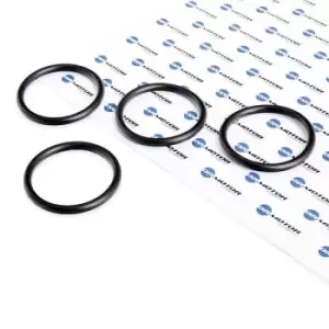 Image of DR.MOTOR AUTOMOTIVE Gasket Set, intake manifold FIAT,PEUGEOT,CITROEN DRM0312S 036534,036534