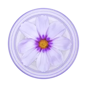 Image of PlantCore Purple Cosmo