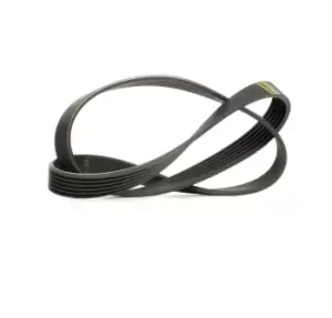 Image of SKF V-ribbed belt VW,AUDI,SKODA VKMV 6PK1026 04L260849C,04L260849D,04L260849C 04L260849D,04L260849C,04L260849D,04L260849L,04L260849C,04L260849D