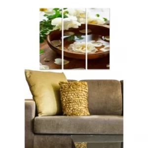 Image of MDF291780185 Multicolor Decorative MDF Painting (3 Pieces)