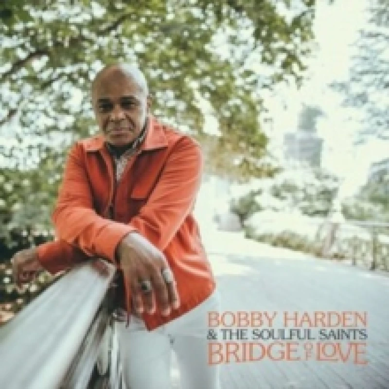 Image of Bridge of Love Vinyl