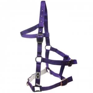 Image of Kincade Nylon Padded Lunge Cavesson - Purple
