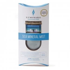 Image of Luminara Fig and Moss Pod - Sea Mineral