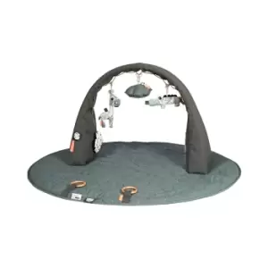 Image of Tiny Tropics Play Arch with Mat