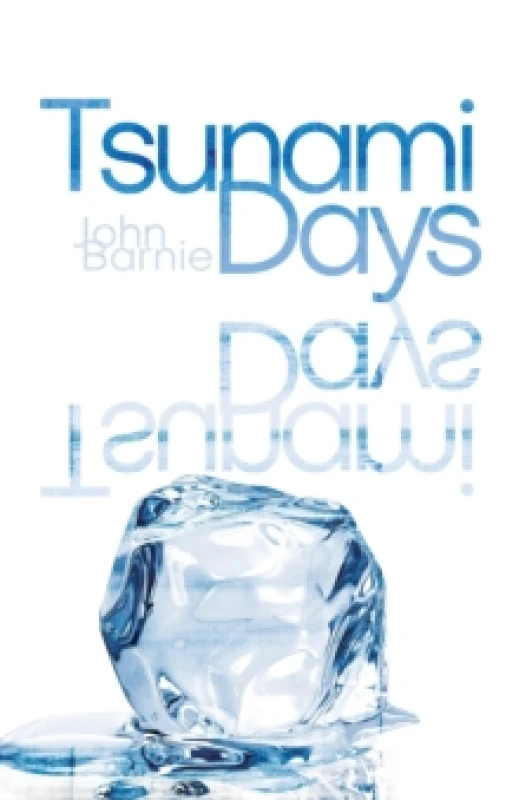 Image of Tsunami Days Paperback / softback