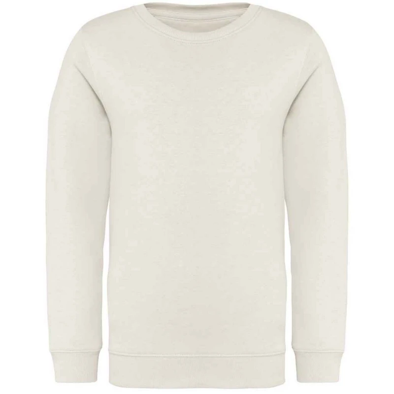 Image of Native Spirit PC5120 boys's Children's sweater in White