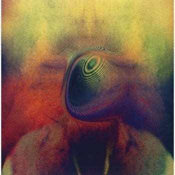 Image of Young Magic - Melt Vinyl