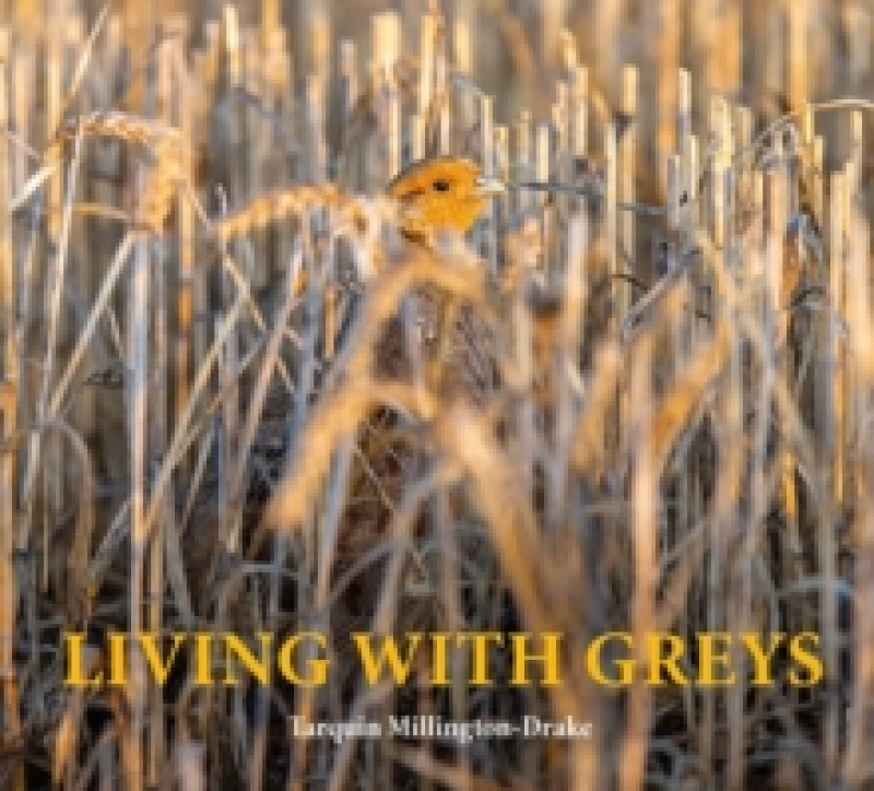 Image of Living with Greys : A celebration of the grey partridge Hardback