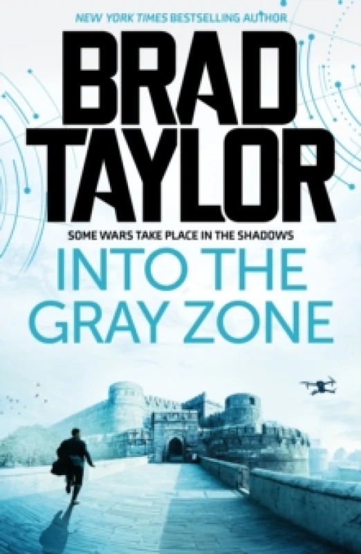 Image of Into the Gray Zone Paperback / softback