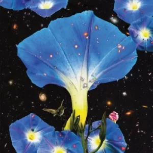 Image of Nighttime Birds and Morning Stars by Sarah Louise CD Album