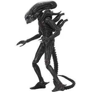 Image of Ultimate Big Chap (Alien 40th Anniversary ) 7" Neca Scale Action Figure