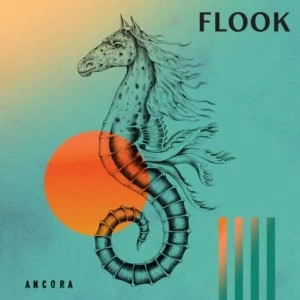 Image of Flook - Ancora Vinyl