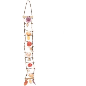 Image of Shell Ladder