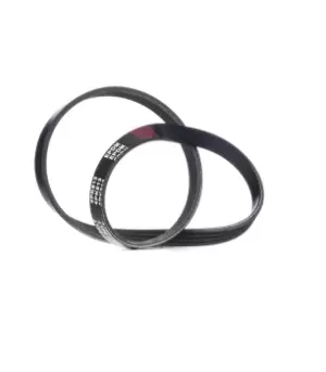 Image of RIDEX V-ribbed belt PEUGEOT,HYUNDAI,TOYOTA 305P0230 B213701325,5750G9,95661735 96011188,96117374,133262,38920P54003,38920P54004,38920P73003,971132B000