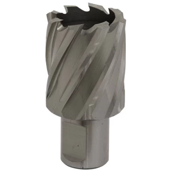 Image of Worksafe RBHSS32S Rotabor Cutter HSS Ø32mm - Cut Depth 25mm