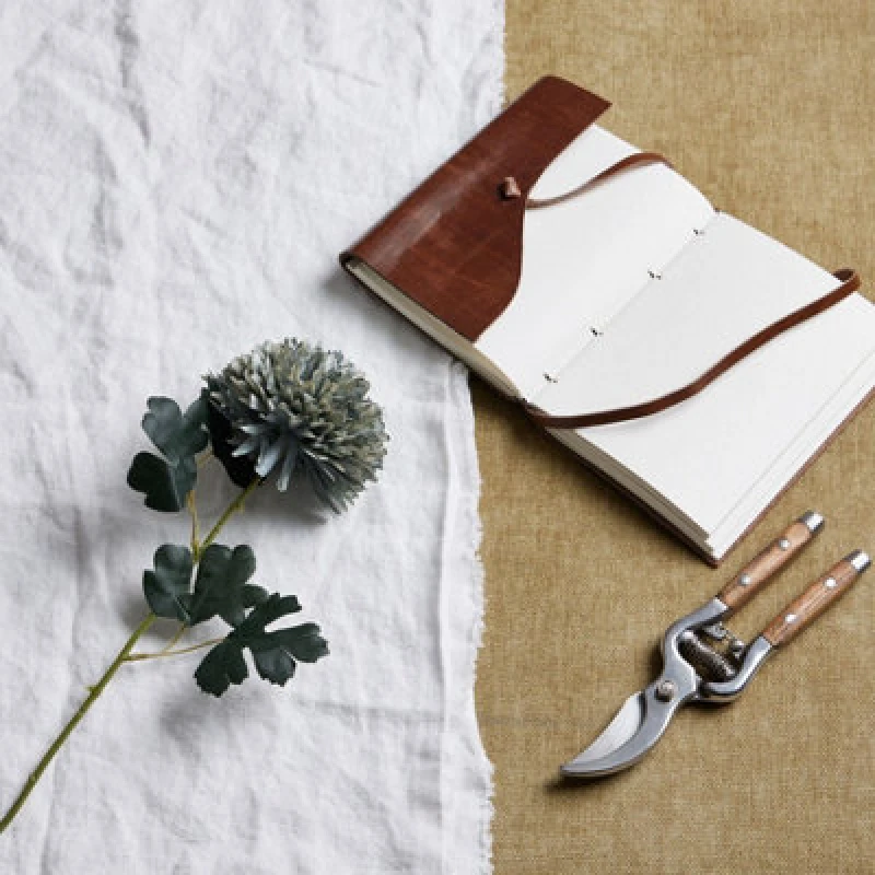 Image of Pale Green Blue Chrysanthemum