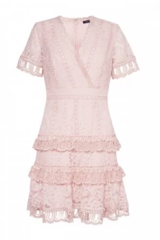 Image of French Connection Arta Lace Ruffle Dress Pink