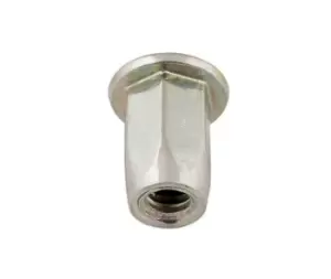 Image of Full Hex Threaded Insert 4.0mm Pack 50 Connect 35105