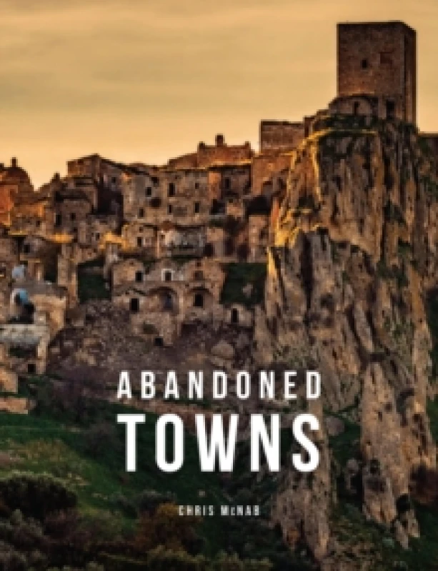 Image of Abandoned Towns Hardback