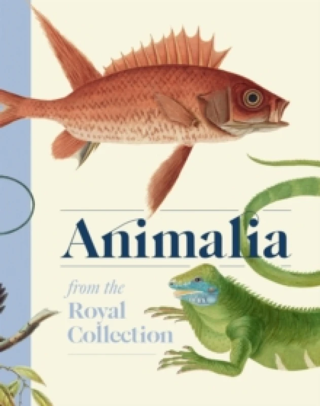 Image of Animalia : From the Royal Collection Hardback