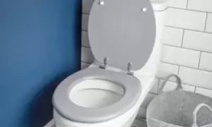 Image of Soft Close Toilet Seat - Wooden with Chrome Hinges - Beech Wood