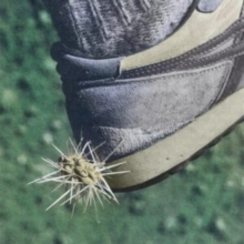 Image of Tread CD / Album