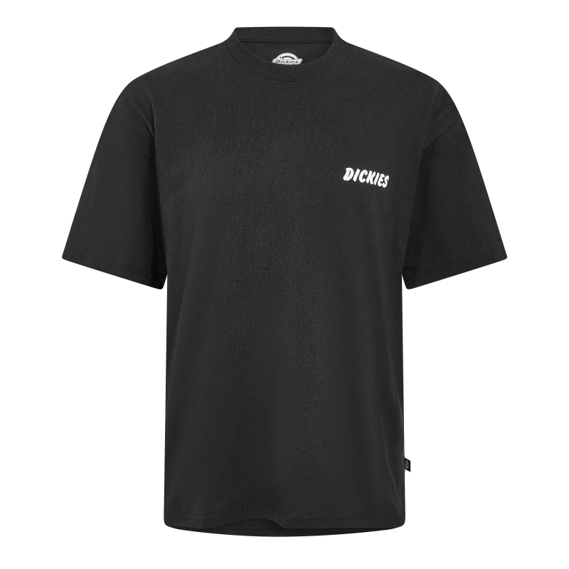 Image of Dickies Dickies Day Ridge T Sn63 Black male Medium