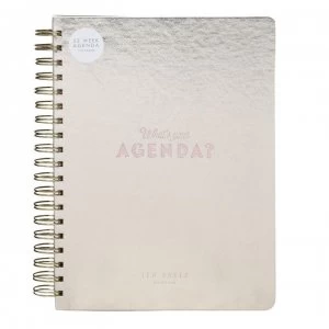Image of Ted Baker Agenda, Gold