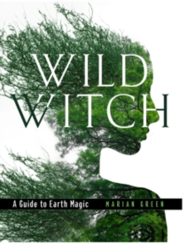 Image of Wild Witch. Hardback. By Marian Green Books