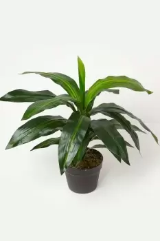Image of Artificial Dracaena Fragrans Dragon Tree in Pot, 65cm Tall