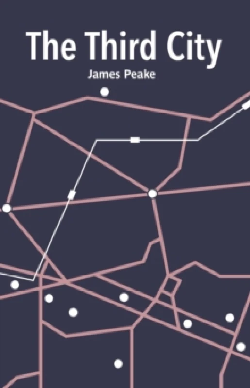 Image of The Third City Paperback / softback