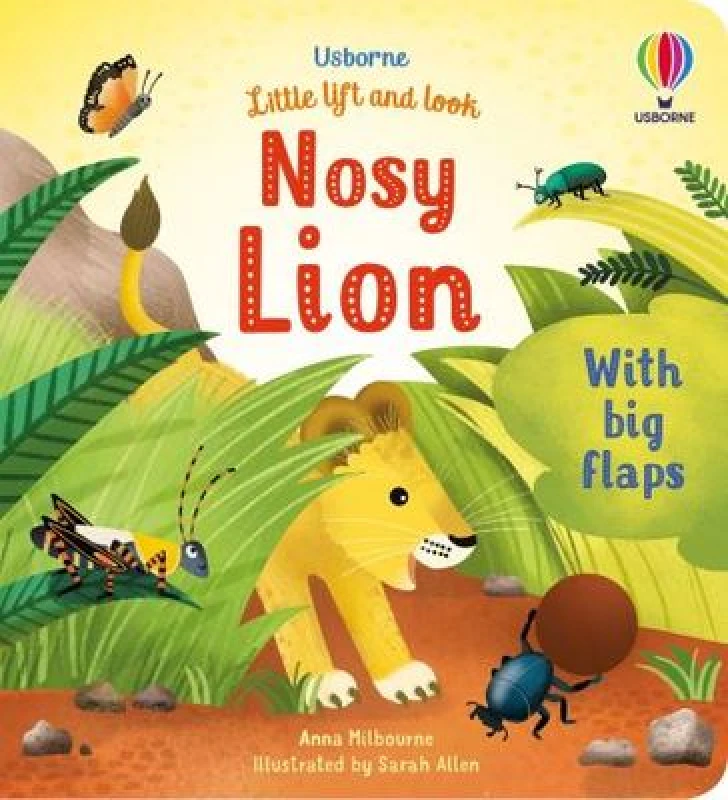 Image of Anna Milbourne Little Lift and Look Nosy Lion Book Multi unisex