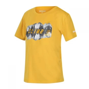 Image of Regatta Alvarado V T-Shirt - Grapefruit