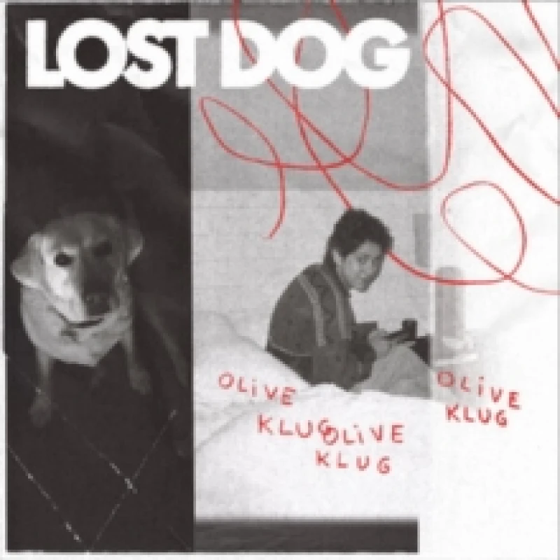 Image of Lost Dog Vinyl