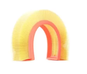 Image of RIDEX Air filter RENAULT,DACIA,PROTON 8A0173 165461599R,7701059409,7701064439 Engine air filter,Engine filter 8200275382