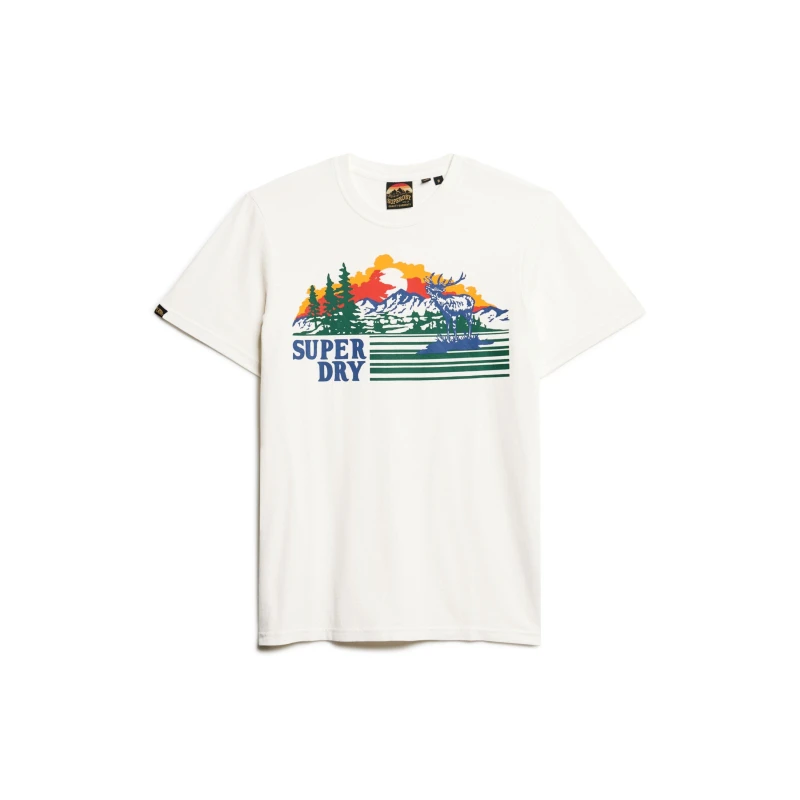 Image of Superdry Graphic T Sn44 Regular Fit T-Shirts Small White 59805501350