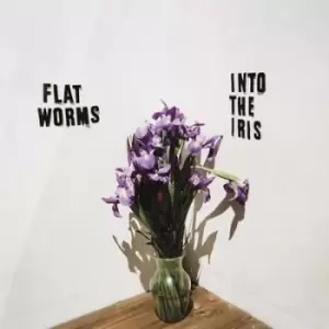 Image of Into the Iris by Flat Worms CD Album