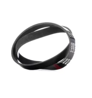 Image of RIDEX V-ribbed belt 305P0358 Serpentine belt,Auxiliary belt FORD,FIAT,PEUGEOT,FIESTA III (GFJ),ESCORT IV Cabriolet (ALF),ESCORT IV (GAF, AWF, ABFT)