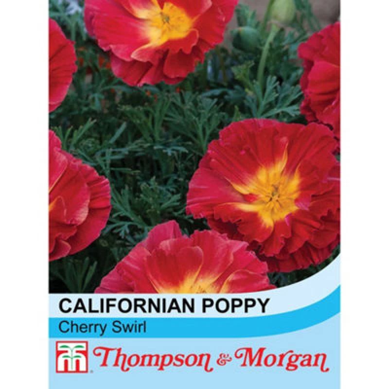 Image of Thompson & Morgan Californian Poppy Cherry Swirl 1 Packet (125 Seeds)