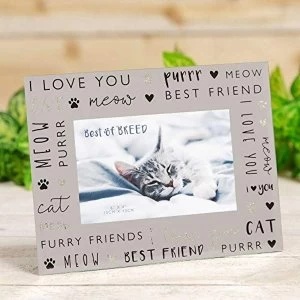 Image of 6" x 4" - Best of Breed Glass Photo Frame - Cat