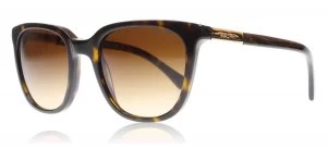 Image of Ralph Lauren RA5206 Sunglasses Tortoise 137813 51mm