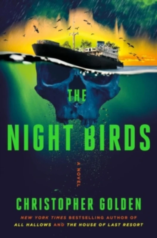 Image of The Night Birds Paperback / softback