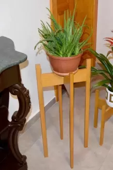 Image of Florny Handmade Solid Wood Plant Stand Planter (80 cm)