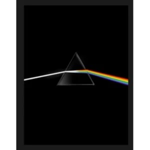Image of Pink Floyd : Their Mortal Remains